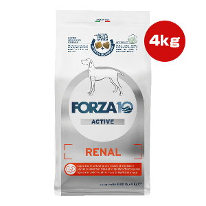 tHc@10 i[ANeBu ~fBA 4kg g ybg t[h  hbO t h{H FORZA10 