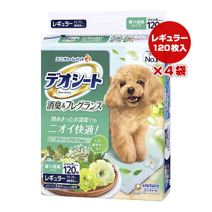 y̔!!zfIV[g LtOX O[A}̍ M[ 120×4 j`[ a ybg ObY  hbO gC jICK Y