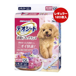 y̔!!zfIV[g LtOX t[V{̍ M[120 j`[ a ybg ObY  hbO L Lbg