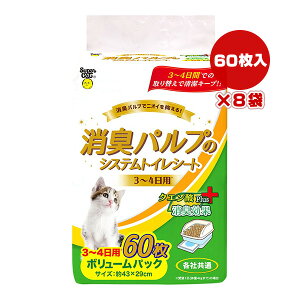 LpṽVXegCV[g 3`4p 60×8 X[p[Lbg a ybg ObY L Lbg NG_Plus {[pbN eЋ 43×29cm