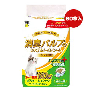 LpṽVXegCV[g 3`4p 60 X[p[Lbg a ybg ObY L Lbg NG_Plus {[pbN eЋ 43×29cm