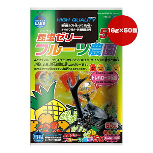 [[ t-c_50 16g×50 }J a ybg t[h  Jug NK^ FN-500