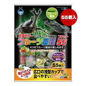 [[ t[c_ tbg55 55 }J a ybg t[h  Jug NK^ L ^Jbv F-24