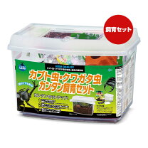 楽天市場】カブトムシ 成虫（飼育セット｜昆虫）：ペット・ペット 