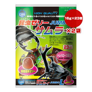 [[ TC W{L 16g×23×2 }J a ybg t[h  Jug NK^  gn[X F-70