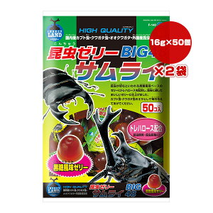 [[ TC BIG48 16g×50×2 }J a ybg t[h  Jug NK^  gn[X F-140
