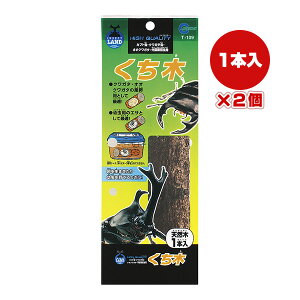  VR 1{×2 }J a ybg ObY  Jug NK^ T-109
