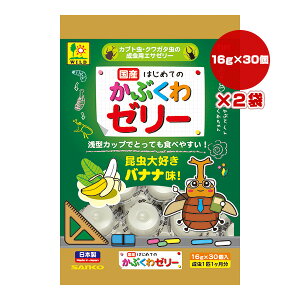 Y ͂߂Ă̂Ԃ[[ oii 16g×30×2 OW a ybg t[h  Jug NK^ p ^Jbv Y T101