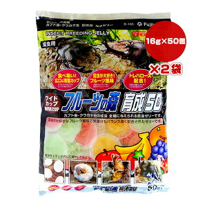 ChJbv t[c̐X 琬50 16g×50×2 tWR a ybg t[h  Jug NK^ p L ^ B-165