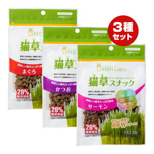 O[{ LXibN ܂EET[ 3Zbg GCNGCc a ybg t[h L Lbg  唞t ы 畆 Y GREEN Labo