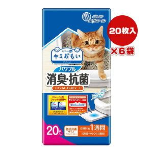 GG[ L~ ptLER VXegCp V[g ڈ1T 20×6 剤 a ybg ObY L Lbg