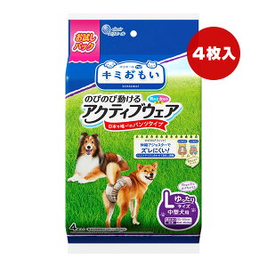 GG[ L~ ̂т̂ѓANeBuEFA LTCY ^p pbN 4 剤 a ybg ObY  hbO pc^Cv