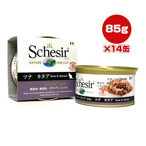 VVA Lbg ciLkA 85g×14 t@^W[[h w ybg t[h L Lbg EFbg Y F Schesir 