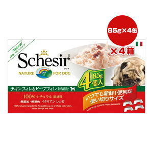 VVA hbO `Lr[t 85g×4×4 t@^W[[h w ybg t[h  hbO EFbg Y F Schesir 