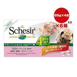 VVA hbO `L 85g×4×6 t@^W[[h w ybg t[h  hbO EFbg Y F Schesir