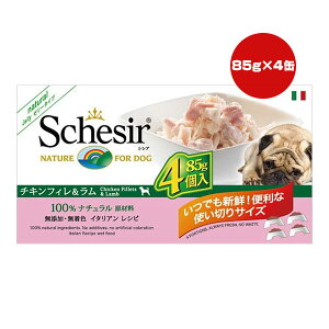 VVA hbO `L 85g×4 t@^W[[h w ybg t[h  hbO EFbg Y F Schesir