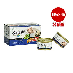 VVA hbO ciV[oX 85g×4×6 t@^W[[h w ybg t[h  hbO EFbg Y F Schesir 