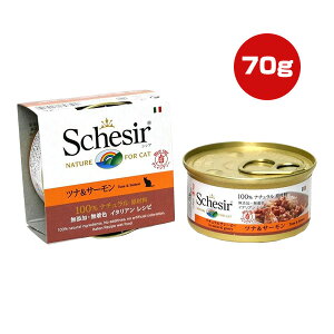 VVA Lbg ciT[ 70g t@^W[[h w ybg t[h L Lbg EFbg Y F Schesir