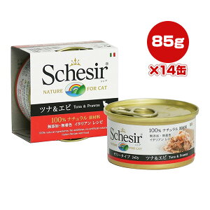 VVA Lbg ciGr 85g×14 t@^W[[h w ybg t[h L Lbg EFbg Y F Schesir 