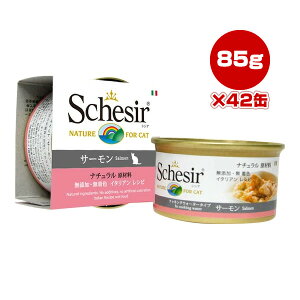 VVA Lbg T[ 85g×42 t@^W[[h w ybg t[h L Lbg EFbg Y F Schesir 