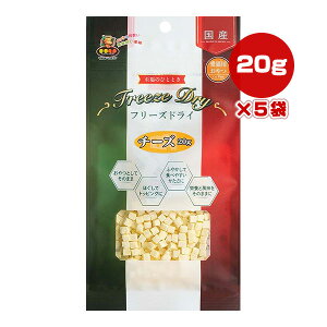 t[YhC `[Y 20g×5 }W[EGtN a ybg t[h L Lbg  Y