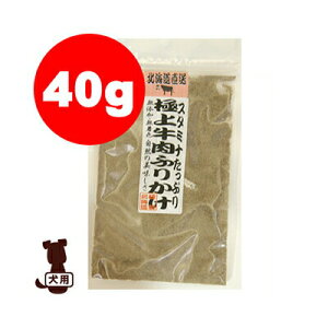 X^~iՂ ɏ㋍ӂ肩 40g TEIR[|[V g ybg t[h  hbO 