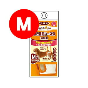 Ƃ Vp s⏕n[lX 㑫p M yeBIa ybg hbOObY 