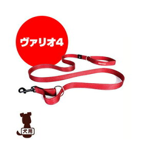 EZYDOG C[W[hbO @I4 bh V g ybg ObY  hbO ANZT[ [h R