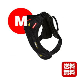 E C[W[hbO [EZYDOG] hCun[lX M ubN V g ybg ObY  hbO ANZT[ 