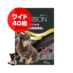 lIV[c J[{Zp[g Ch 40 R[`[ a ybg ObY  hbO gC