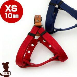 RR[colocoKURASHIKI] Ȗ؃U[×q~z n[lX XS 10mm bh tby b ybg ObY  hbO ANZT[ 