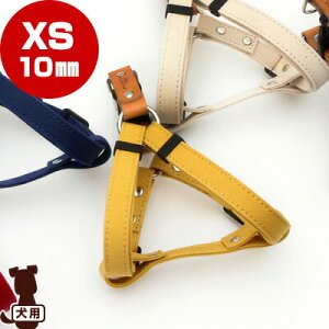 RR[colocoKURASHIKI] Ȗ؃U[×q~z n[lX XS 10mm JV tby b ybg ObY  hbO ANZT[ 