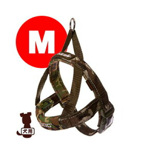 EZYDOG C[W[hbO NCbNn[lX M O[J V g ybg ObY  hbO ANZT[ n[lX 