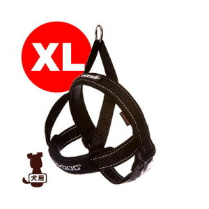 EZYDOG C[W[hbO NCbNn[lX XL ubN V g ybg ObY  hbO ANZT[ n[lX 