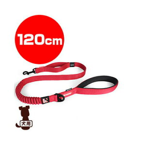 EZYDOG C[W[hbO [VbN 120cm bh V g ybg ObY  hbO ANZT[ [h R