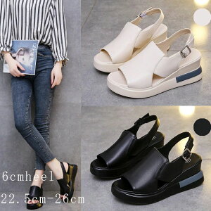 EFbWT_  T_ fB[X ItBX fB[X i[XT_ T}[u[c V[gu[c tbgV[Y V[Y ~ y^R RtH[g t ėp 