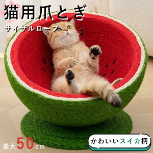 L ߂Ƃ ܌   XCJ ybg XgX ^s  ׂ~ Vяꏊ ~ v  Lp @\ 蔫^  oX TCU VRf Ƌjh~