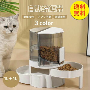 �y���������z���������� �������a�� �����݊� �Z�b�g 1L 1L ������ ���a�� ���� �L ������ �L ���p �y�b�g�{�g�� �y�b�g�{�E�� ���� �a��� ����� �����a���� ���O���\ ������ԉ\ ��