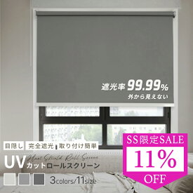 【シンプル・SS期間限定】ロールスクリーン 遮光 目隠し 保温 防寒 防音 標準 UVカット 既製品 3カラー 11サイズ 北欧風 無地柄 チェーン式 間仕切り 噪音軽減 既製サイズ 表裏同色 カーテン ロール スクリーン子供部屋 浴室 キッチン 簡単取付 激安 ロールカーテン