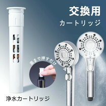 楽天市場】シャワーヘッド 浄水 除菌の通販