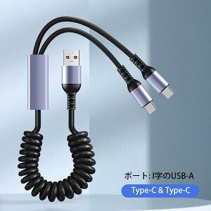 yViz2in1 [dP[u RC 6A CgjO^CvC iPhone[dP[u PDP[u ^Cvc RCP[u usbP[u type-c ԗp PD}[dΉ LkR g P[u iphone16/15 X