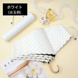 P ܂肽ݎP y Jp UVJbgUPF50+ 149g ܂肽ݎP fB[X y ϕ RpNg JP   킢 h? J^nh 100Ռ n 3i܂肽 v 