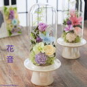 プリザーブドフラワー 仏花 ガラスドーム ミニ 仏壇用 小さい お供え 花 フラワー アレンジメント 【花音】 お悔やみ 四十九日 49日 法事 法要 1周忌 一周忌 初七日 七回忌 命日 おしゃれ お盆 初盆 新盆 ブリザードフラワー プリザードフラワー プリザーブド ギフト