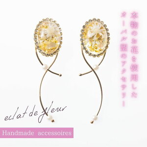 ANZT[ sAX CO hCt[  yGNhDt[z   a j LO Əj hV̓ NX}X 