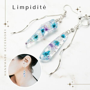 ANZT[ sAX CO hCt[  ysfBez   a j LO Əj hV̓ NX}X 