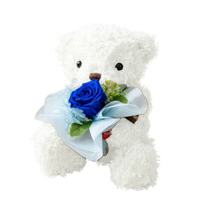 vU[uht[ ʂ ԑ yJkDXz LO v[g  av[g o[Xf[ Mtg ޏ  a e  FB FB 20 TvCY  