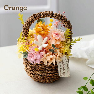 vU[uht[ a v[g wmarronnier }jGx j LO JXj JƏj Vzj    ̓ NX}X vU[ht[ Mtg 