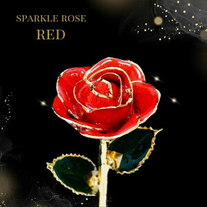 vU[uht[ KN 1 24 yS[hvXeB[W Xp[N[Yz ԑ u[P v|[Y j LO JXj JƏj vU[ht[ v[g Mtg 