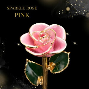 vU[uht[ KN 1 24 yS[hvXeB[W Xp[N[Yz ԑ u[P v|[Y j LO JXj JƏj vU[ht[ v[g Mtg 