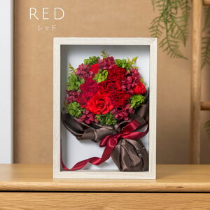 vU[uht[ JƏj  yEfp[z JXj  Ԃ J@j u[P v[g HX t[ Ǌ| X AW NX}X z  LO Nj 